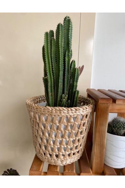Süs Dükkanı Hasır Sepet Saksı Doğal Hasır Dekoratif Tasarım Saksi Modeli