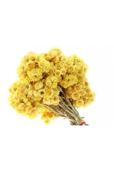 bestdate Dry Flower Patterned Gold Herb