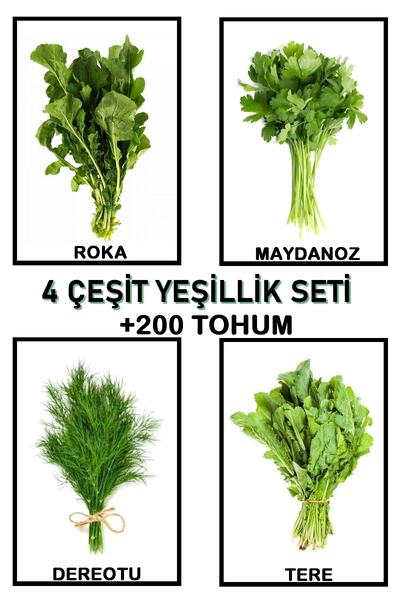Tolgys Roka, Maydanoz, Dereotu, Tere 4'lü Tohum Seti / 200 Adet Tohum