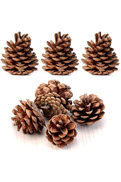 RUSTİKEVDECORART Decorativ din lemn de pin natural, cadou, ornament pentru pe...