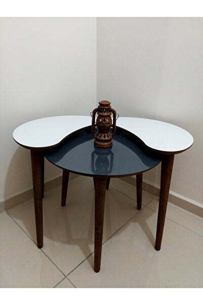 QUELLA Uğur Böceği Beyaz Antrasit Renk Orta Sehpa Takımı