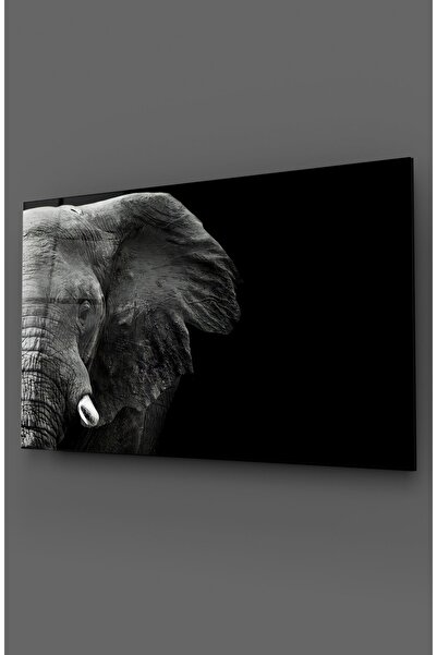 TAULART Tablou orizontal din sticlă cu elefant