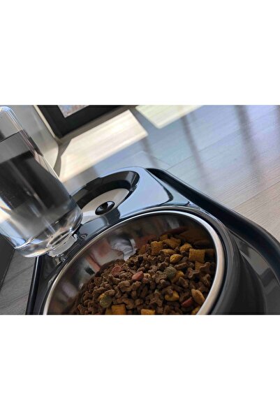 PETSİ Essential Cat - Dog Food and Water Bowl 500ml