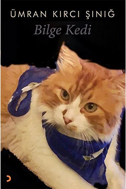 Cinius Yayınları Bilge Kedi / Ümran Kırcı Şınığ / / 9786257095686