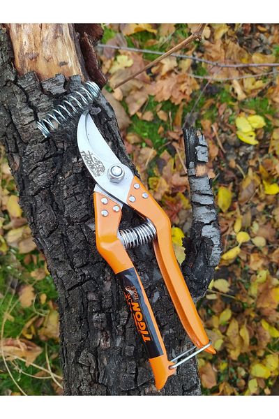 DİBA AVM Tigon Metal Handle Spare Spring Professional Vineyard Shears Garden Branch Pruning
