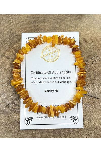 Tesbihci Efendi Damla Amber Adult Antique Gold Color Elastic Bracelet