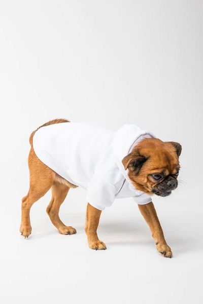GTB Pet White Colored Dog Outfit Small Breed Dog Hoodies Sweatshirt Hooded Dog