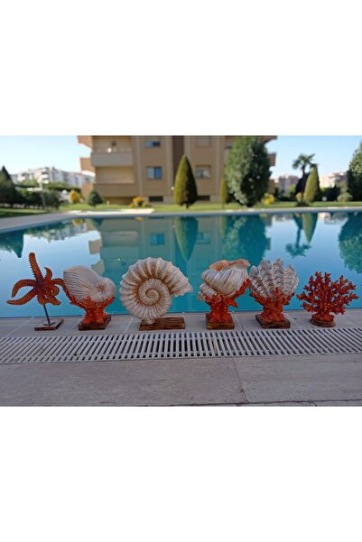 BilgeCe hoMe Deniz Kabukları Ailesi Heykelleri, Deniz Kabuğu Heykeli, Polyest...