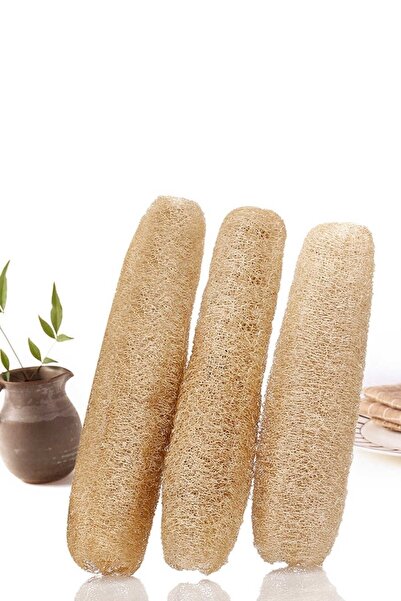 Köy Tohumları 40 Cm 3 Adet Banyo Hamam Lif Kabak Kesesi Organik Doğal Kabak L...