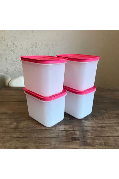 Tupperware Storage Container for Alaska