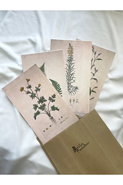 Atölye Merdiven Vintage Botanical Retro Bitkiler Kağıt Hediyelik Poster Seti