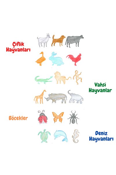 Akıllı Karınca Ahşap Hayvanlar Çizim Kalıpları Hayvan Boyama Hayvan Çizimi