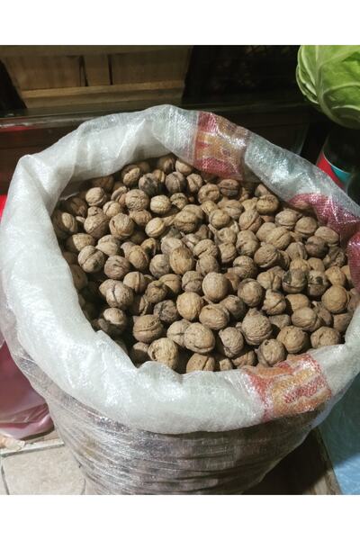 KÖYÜMDEN İSPİR Ceviz