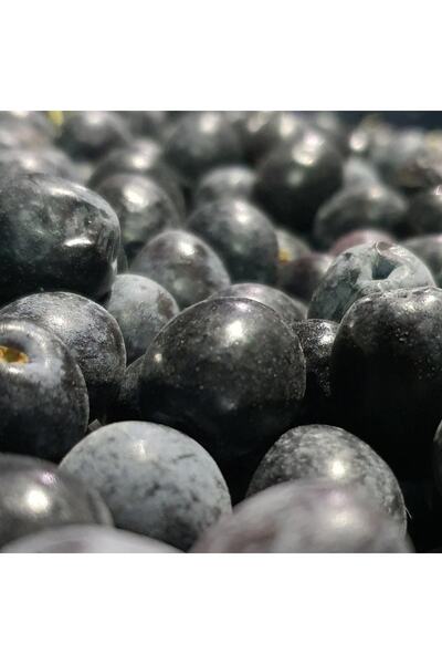 İzorya Taze Toplanmış Ham Mut Siyahı Zeytini Selelik Çevirmelik 3kg 2 Numara