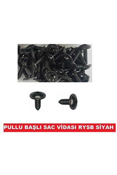 CEKSAN Sac Vidası Rysb Pullu Başlı Siyah Vida 3.5x9.5mm 250 Adet