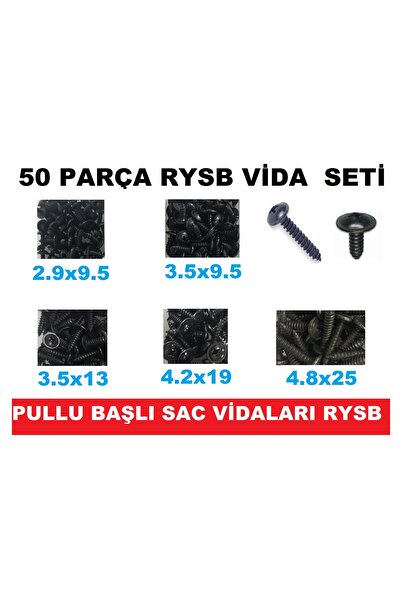 CEKSAN Sac Vidası Rysb Pullu Başlı Vida Seti 50 Parça Farklı Ölçülerde