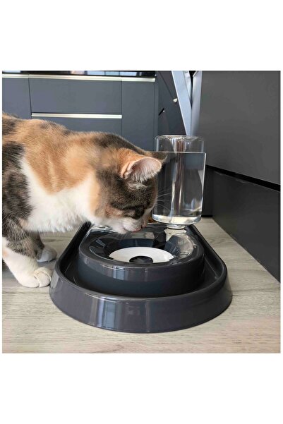 PETSİ Essential Cat - Dog Food and Water Bowl 500ml