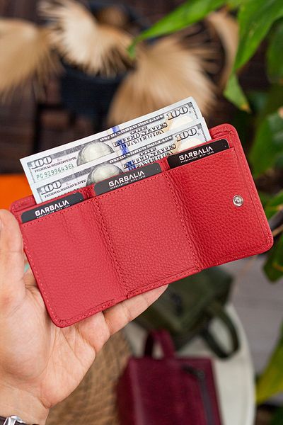 Garbalia Zeus Genuine Leather Mini Coin Compartment Dusty Rose Women's Wallet