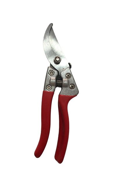 ELKA Vineyard Pruning Shears Ergonomic Handle with Spring