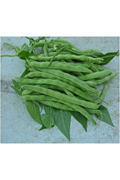 Köy Tohumları 50 Adet Tohum Nadir Alman Kılçıksız Ayşe Kadın Fasulyesi Tohumu...