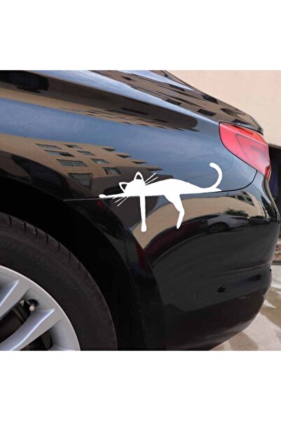 TSC Cat Sleeping on the Car Bumper Funny White Color Sticker