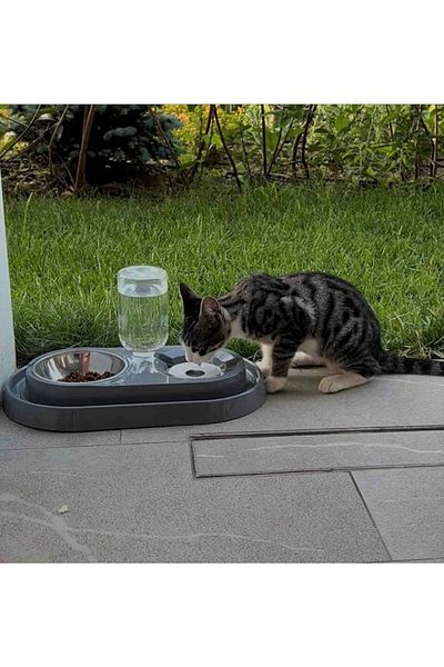 PETSİ Essential Cat - Dog Food and Water Bowl 500ml