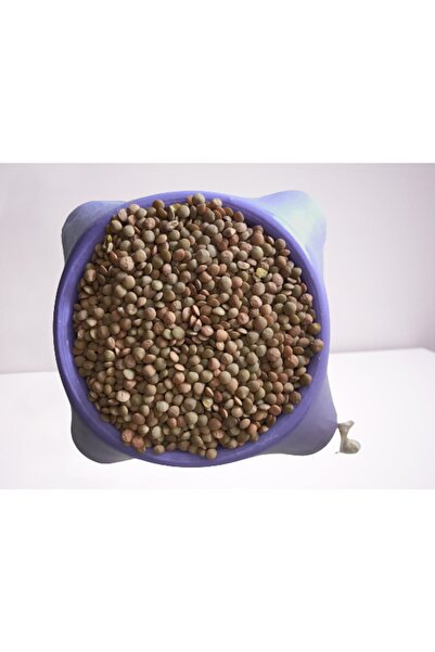 DEĞİRMEN TARIM Köy Mercimeği (yeşil) 1 Kg