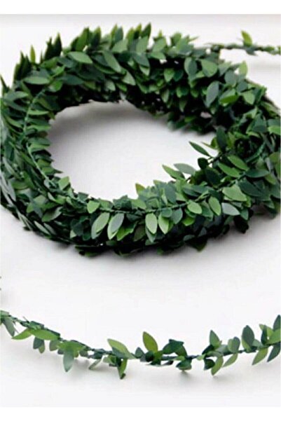 Hobigram Leaf Ribbon Wire Leaf Artificial Crown Ivy Ornament 7 Mt – Christmas Ornament, Stylish Design, Women's Accessory –