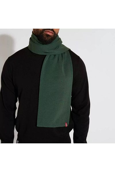 Levi's Men's Green Accessory (Model Code: D605200010 )