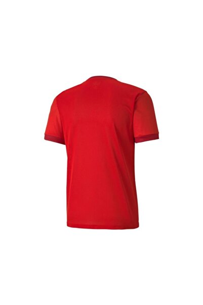 Puma 704171 Teamgoal 23 Jersey Men's Jersey
