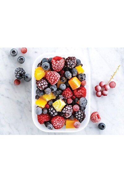 Tupperware Alaska Kap 450 Ml 2'li Buzluk Saklama Kabı