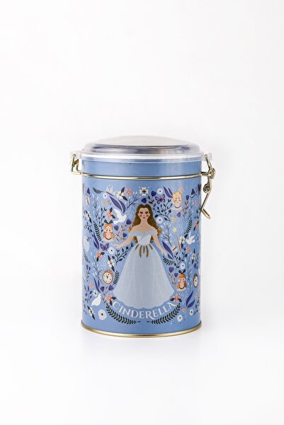 EVLE Er117-u9 Tales Cinderella Desenli Baharatlık 1,1 Lt