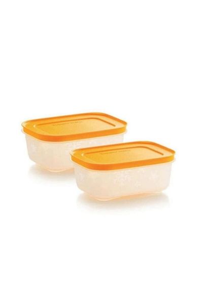 Tupperware Alaska Container 450 Ml 2-Piece Freezer Storage Container