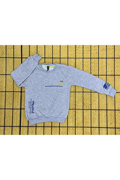 DG AURA Printed 3 Thread Raised Thick A Quality Sweatshirt