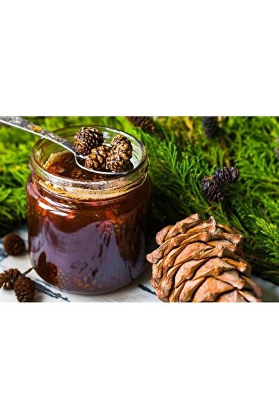 Biotama Çam Kozalağı Pekmezi 700 gr Cocha Chincona Ile Artık Daha Güçlü