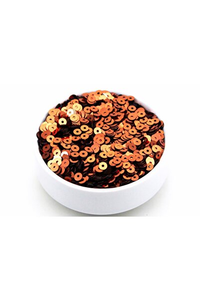 yfhobi 10 Gram- 5 Mm Plastik Payet Pul Ortadan Delik Güpür, Takı, Kumaş Ve Sü...
