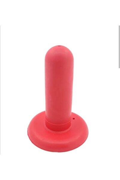 Çiftlik Hayvanları