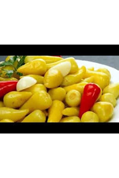 Köy Tohumları 200 Adet Tohum Organik Sarı Fındık Süs Biberi Tohumu Turşuluk Y...