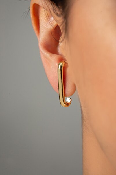 Elika Silver Women's Design Model Earrings