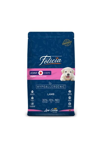 Felicia Puppy Large Kuzulu Büyük Irk Yavru Köpek Maması 3 kg