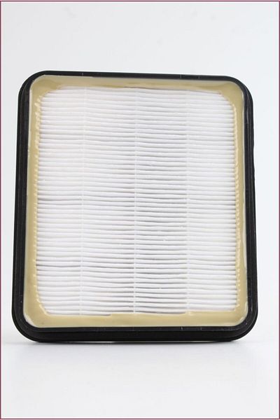 Fantom Technovac Tr 8700 Original Hepa Vacuum Cleaner Filter