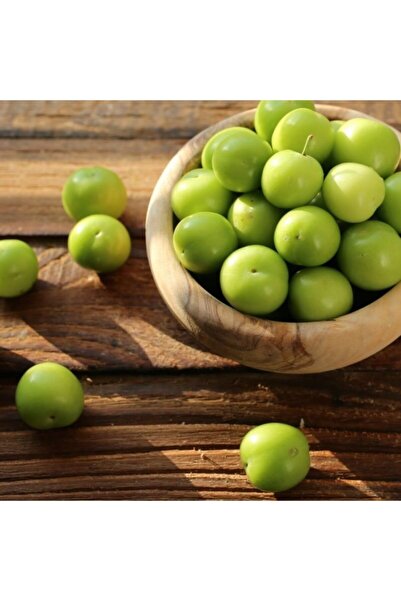 E-fidancim Tüplü Tam Bodur Cin Erik Fidanı