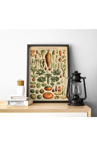 Pegziz Sebze Çeşitleri Vintage Sanatsal Poster 50x70cm.