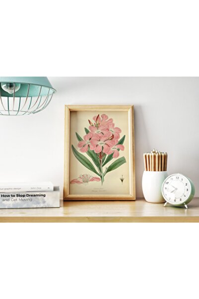 Pegziz Zakkum Bitkisi Vintage Sanatsal Poster 50x70cm.