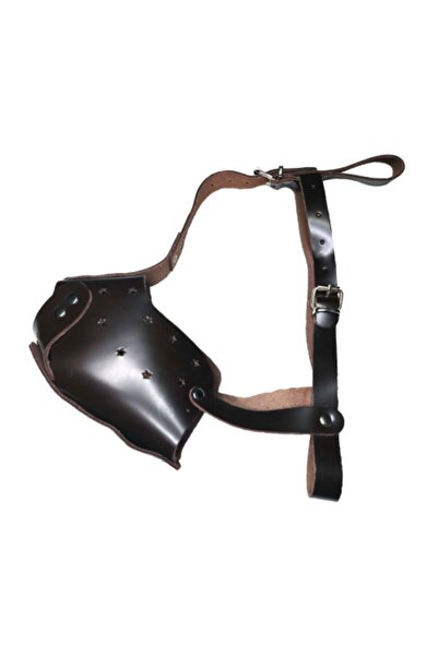 AMORE Deri Xl Köpek Ağızlığı Stars Kahve