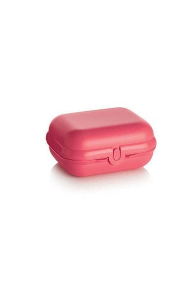 Tupperware Lunch Box Oyster Midi Carrying Box Hsgl Pink