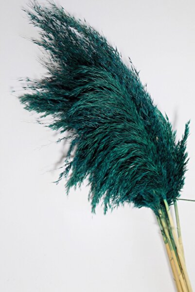 Mimozaçiçek Zümrüt Yeşil Pampas 7 Adet 100 cm