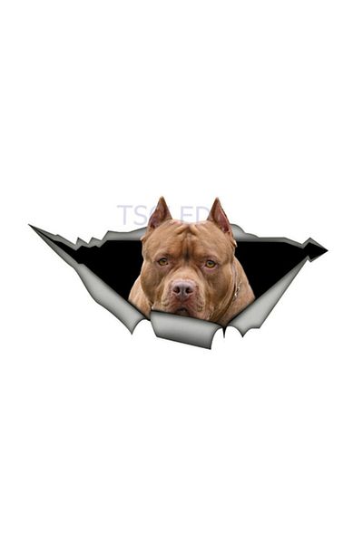TSC Αυτοκόλλητο αυτοκινήτου καφέ American Pit Bull