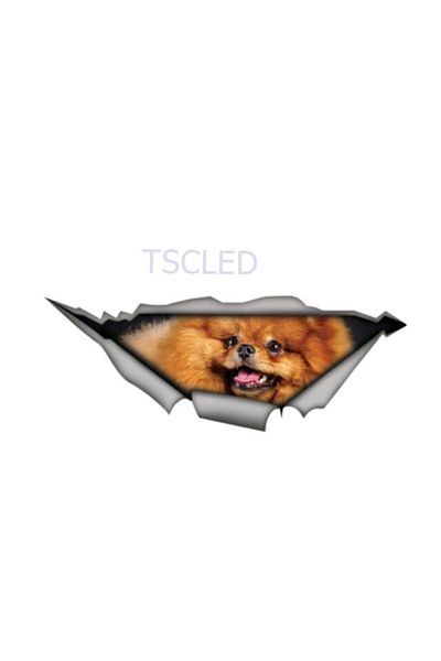 TSC Αυτοκόλλητο με χαριτωμένο σκυλί ράτσας Pomeranian
