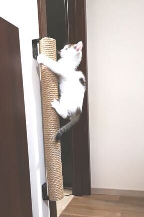 Bypet Duvara Asilan 80 Cm Kedi Tirmalama Seti Fiyati Yorumlari Trendyol
